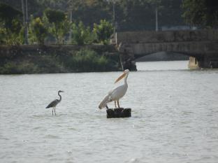 Hotel Shiv Lake Bhuj Exterior foto